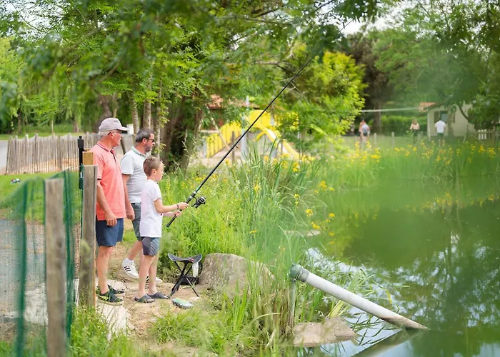 Mobilehome Evasion 50 *